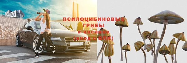сатива Володарск