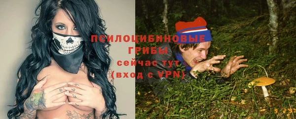 мдпв Волоколамск