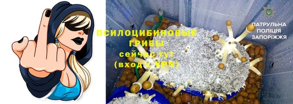 сатива Володарск